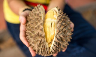 十一月有榴莲卖吗 十一月还有榴莲吗