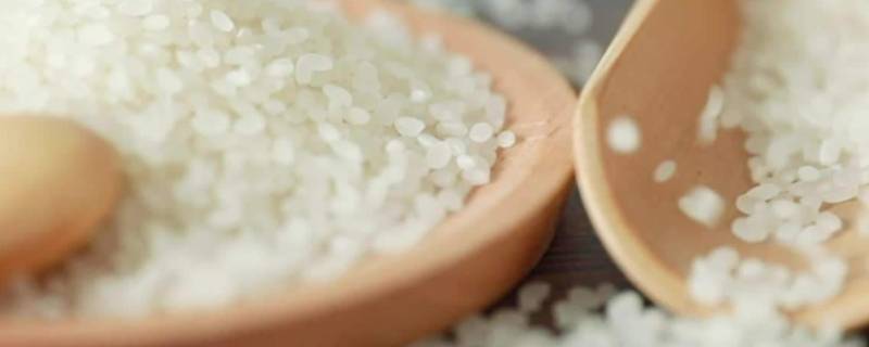 怎么看大米的质量等级（大米的质量等级划分）