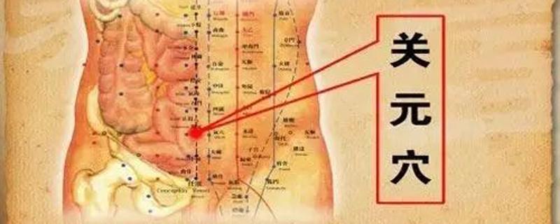 关元的准确位置图和作用（关元的准确位置图和作用及功效）-九图集