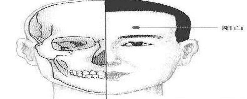 阳白的准确位置视频（阳白准确位置图和作用的准确位置图片）-九图集