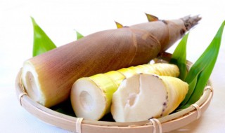 煮熟的春笋能放多久 春笋煮多久才好保存-九图集