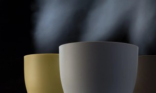 加湿器对身体有什么好处 加湿器对身体好吗?