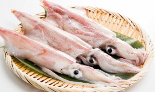 墨鱼含胆固醇高吗 墨鱼是否含胆固醇高