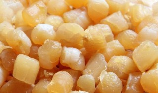 干贝能每天吃吗 干贝可以常吃吗