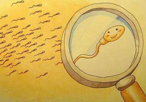 喝酒对精子的影响-九图集