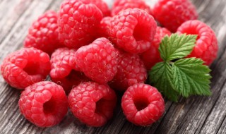 树莓的营养价值(树莓的营养价值及功效与作用)