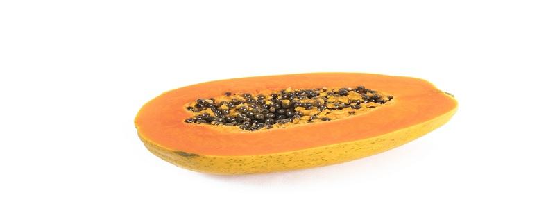 木瓜怎样催熟(木瓜怎样催熟快一些)-九图集