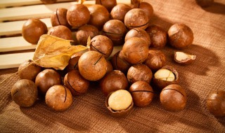 夏威夷果每天吃多少为宜(夏威夷果每天吃多少合适)