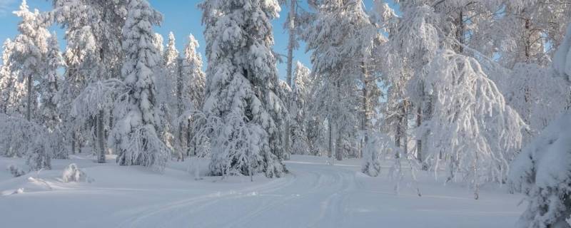 如何战胜冬天的寒冷(如何战胜冬天的寒冷绘画)-九图集