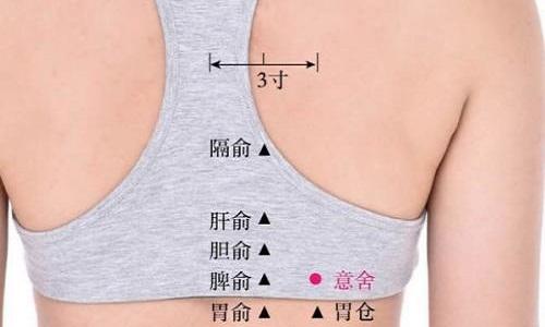 意舍的功效与作用()-九图集