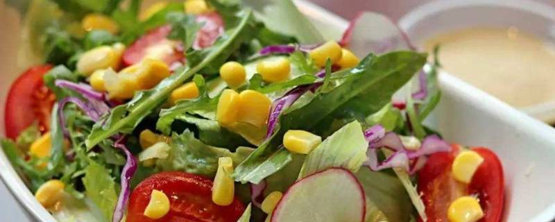 蔬菜沙拉的材料（蔬菜沙拉的材料和做法）-九图集