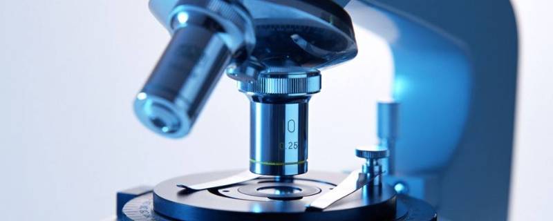 显微镜物镜相当于什么镜(显微镜的物镜相当于什么镜)