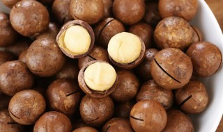 夏威夷果不适合什么人吃（夏威夷果适合什么样的人吃）