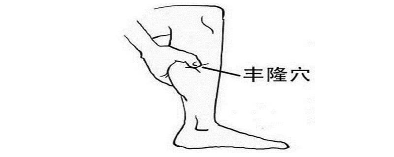 丰隆针刺方向 丰隆的针刺方法-九图集