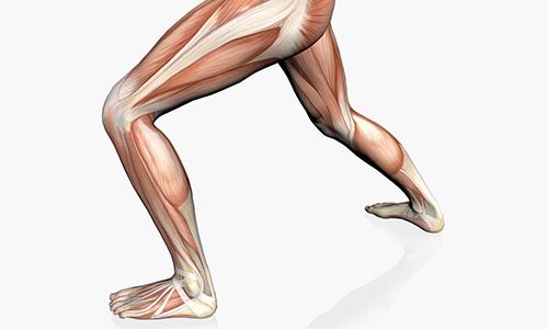 小腿太粗是什么原因 小腿太粗是什么原因引起的-九图集