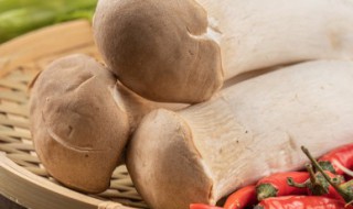 杏鲍菇发霉了还能吃吗 杏鲍菇霉变以后出来的蘑菇能吃吗