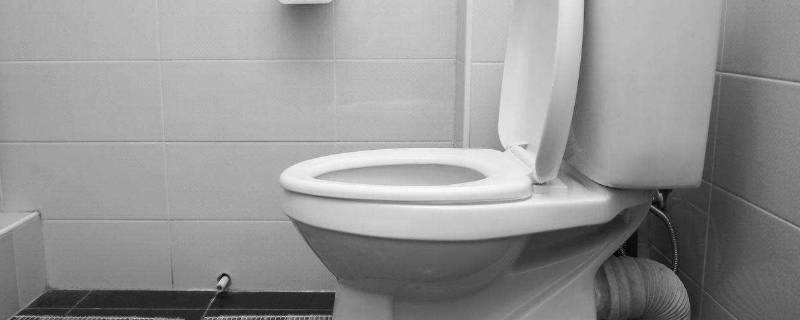 马桶堵了一点水都不下怎么办(马桶堵得一点水都不下去了)-九图集