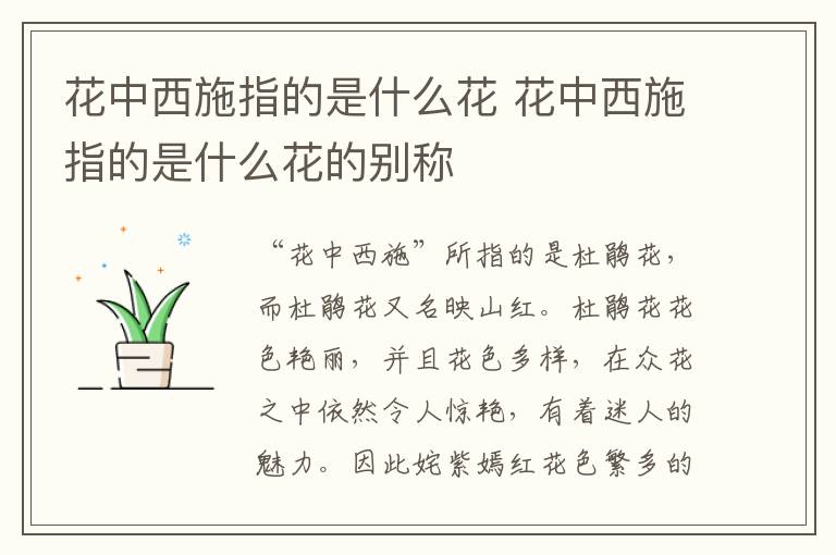 花中西施指的是什么花 花中西施指的是什么花的别称-九图集