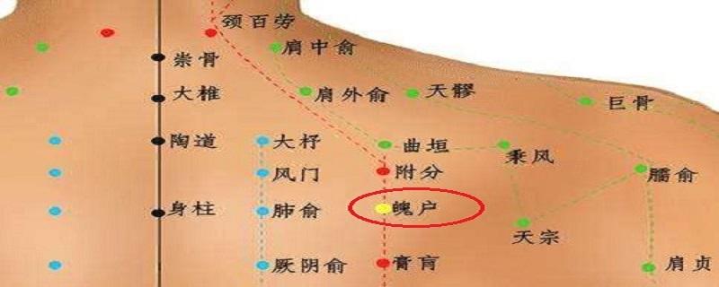 魄户准确位置图和作用（魄户的准确位置）-九图集