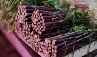 红菜苔的热量高吗（清炒红菜苔的热量）