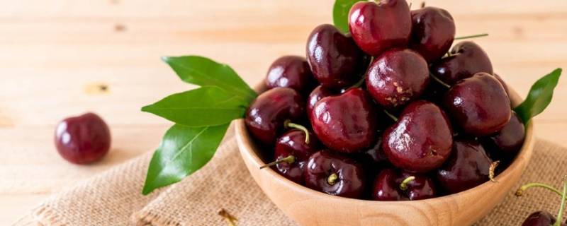 rioking是什么车厘子 rioking是什么牌子的车厘子-九图集