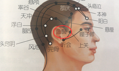 曲鬓的准确位置图 曲鬓的准确位置图片和视频