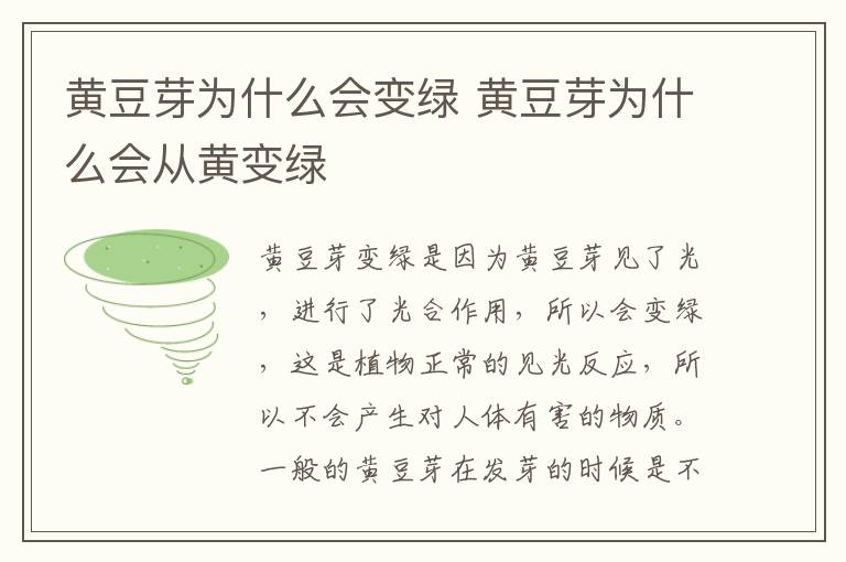 黄豆芽为什么会变绿 黄豆芽为什么会从黄变绿-九图集