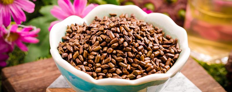 决明子泡水喝是伤肝吗 决明子泡水喝是伤肝吗还是伤肾