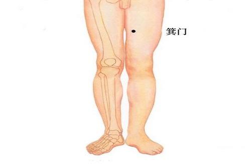 箕门的准确位置图(箕门的准确位置图和作用的准确位置图片)