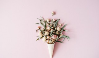 煮熟的花种为什么不能发芽 煮熟的花种为什么不能发芽呢?