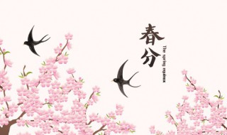 春分节气调神养生 春分节气时的养生-九图集