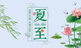 夏至是24节气的第几个节气（夏至是24个节气第几个）-九图集
