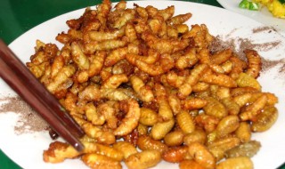 蜂蛹泡酒的营养价值(蜂蛹泡酒的好处)-九图集