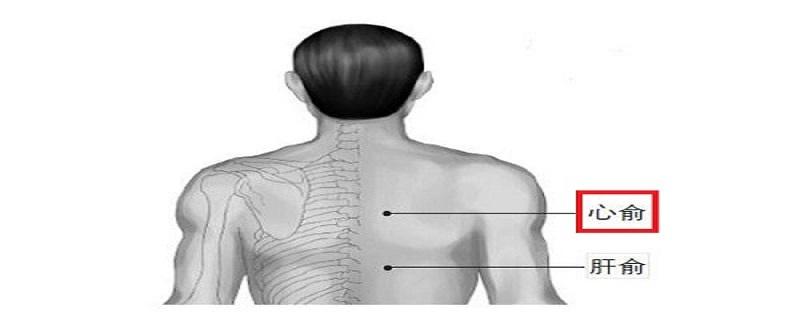 心俞的位置和功效 心俞的准确位置图和功效