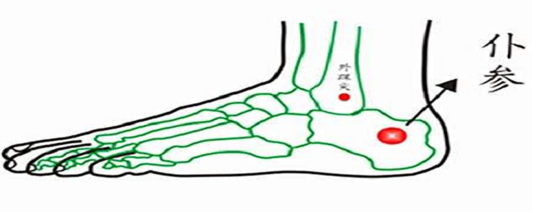 仆参按了疼是什么原因 仆参肿痛是什么引起的-九图集