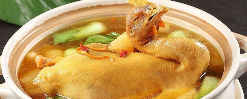 煤气灶一般炖鸡多久能熟（煤气灶一般炖鸡多久能熟淘汰）-九图集