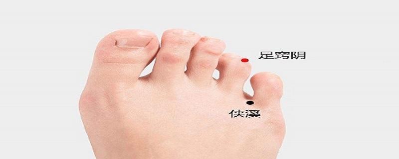 足窍阴在什么地方 足窍阴百度百科