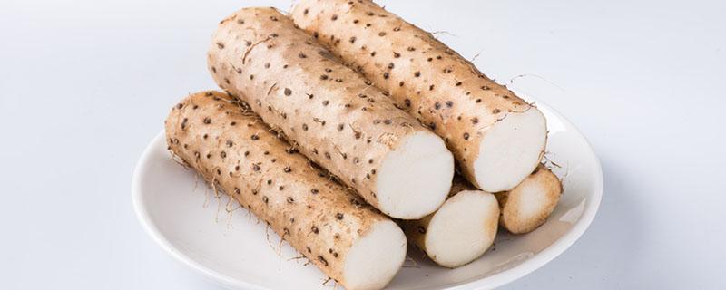 山药的功效与作用（山药的功效与作用及营养价值）-九图集