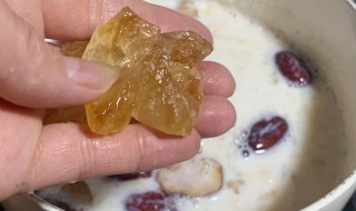 木瓜桃胶牛奶一起炖的功效与作用 木瓜和桃胶牛奶怎么炖-九图集