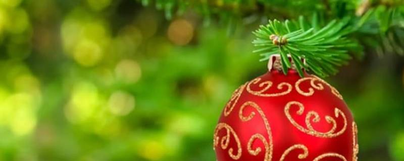 红和绿是互补色还是对比色 红配绿是对比色还是互补色-九图集