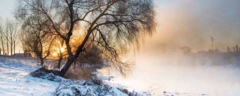 冬天的风叫什么风 冬天的风都是什么风-九图集