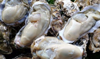 生蚝的好处 生蚝的好处和坏处-九图集