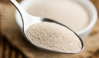 干酵母发面放小苏打醒面多长时间 酵母发酵后醒面放小苏打-九图集