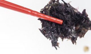 紫菜没煮熟吃了会不会有毒(紫菜直接吃有没有毒)