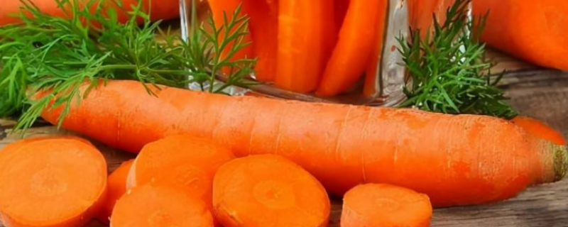 胡萝卜挑选时要选择外表（胡萝卜挑选时要选择外表什么的）