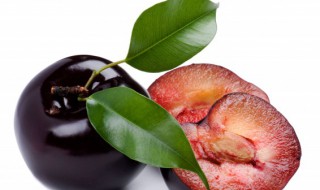 桃和李可以一起吃吗 李子和桃能一起吃吗?