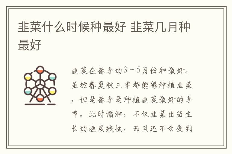 韭菜什么时候种最好 韭菜几月种最好