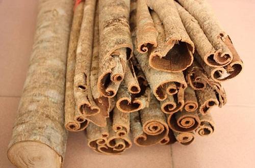 什么中药泡水喝养胃（什么中药泡水喝养胃健脾）-九图集