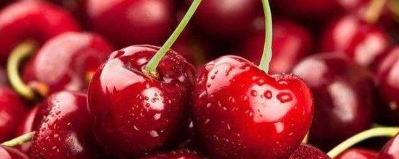 3j车厘子有多大 3j车厘子多大尺寸