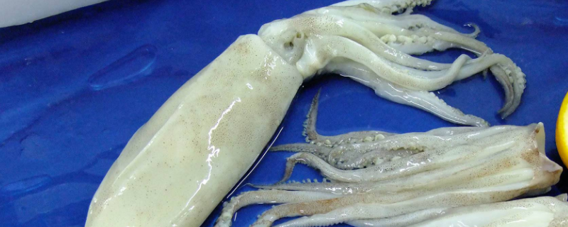 鱿鱼放冰箱冷冻要不要洗干净 鱿鱼洗干净了可以放冰冻室里吗-九图集